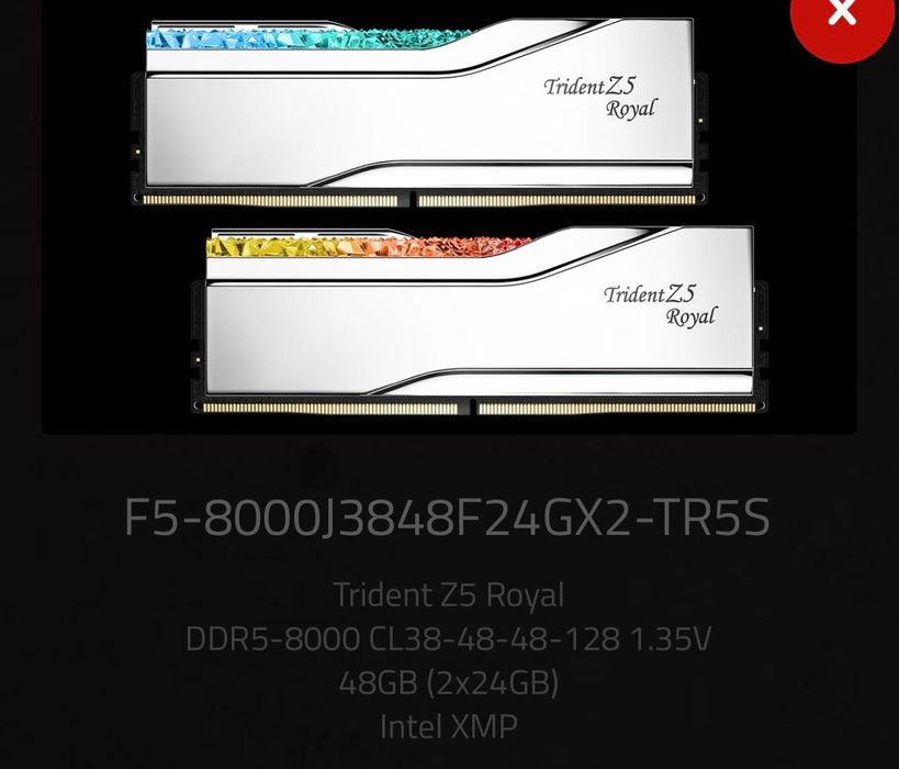 G.Skill Trident Royal Z Silver 48GB(2x24GB) 8000 CL38 Intel XMP 3.0 ...