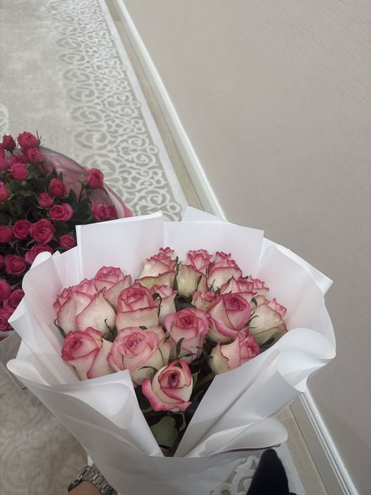 бугынгы гул коробкасымен