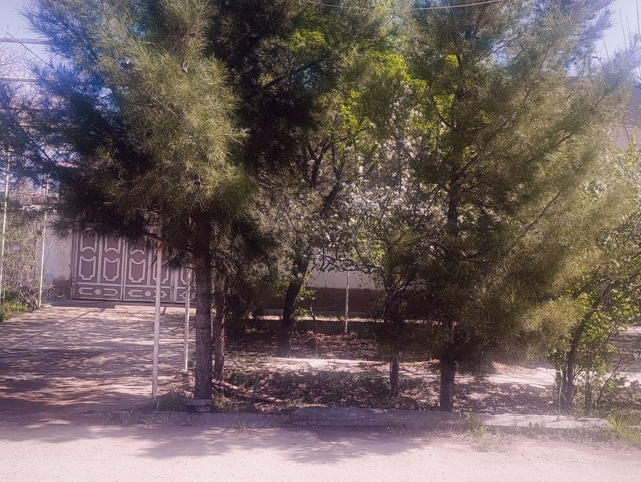 Завод Коттеджи  сотилади. Ибн Сино 21