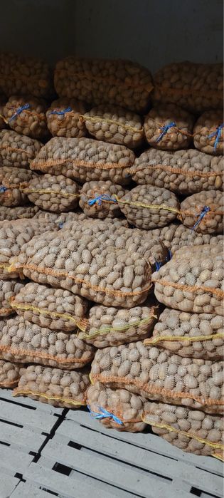 Cartofi de vanzare jud. Harghita