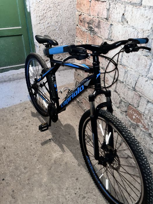 Bicicleta Capriolo 29