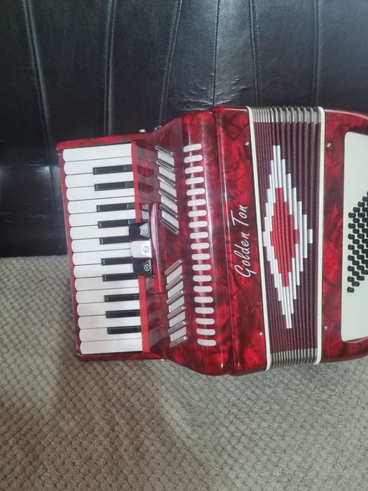 Acordeon pentru copii
