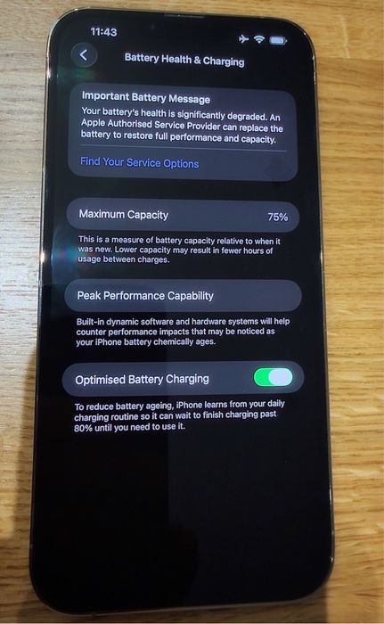 IPhone 13 Pro Max/ GOLDEN /