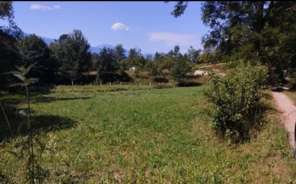 Teren, Slatinioara, Petrosani