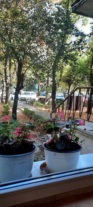 Apartament 2 camere Craiova Calea Severinului
