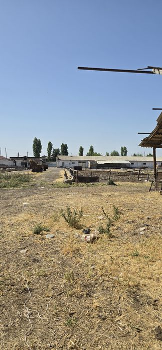 Кибрай 4.гек,биноси билан