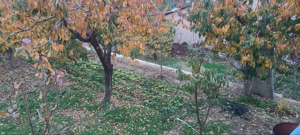 Продаю Своя дача 10 сотик на Чарваке