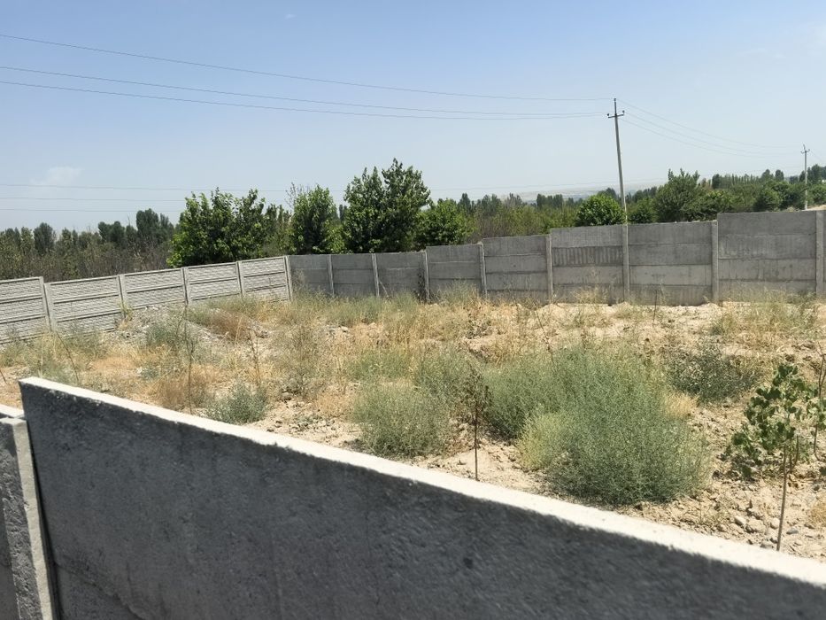 Боғишамол даҳасида Қуруқ ер сотилали