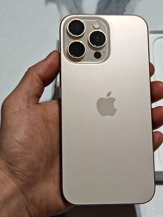 iPhone 16 Pro Max ёмкость 100