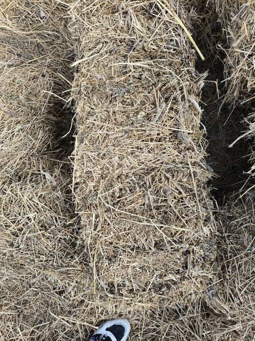 Vând baloți lucernă