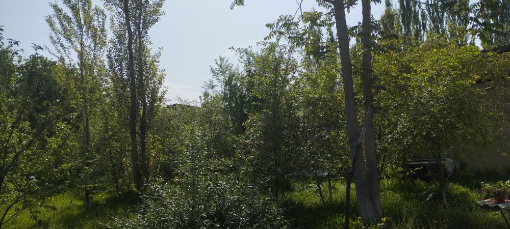 Продам дом с участком