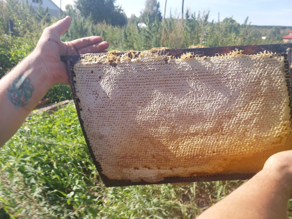 Мёд разнотравье,