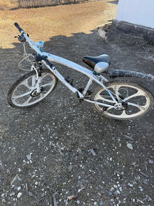 Велик беха  белый