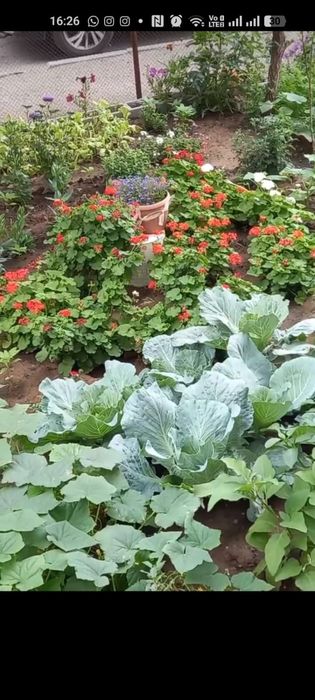 Продам 3 комнатную квартиру