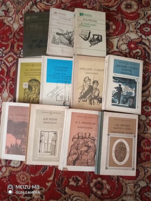 Книги библиотека школьника
