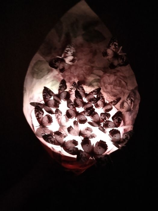 Букет из бабочек светящийся