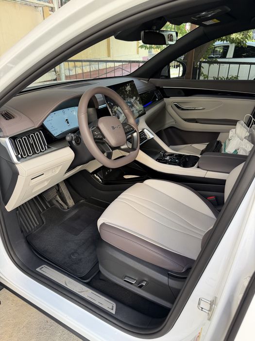 BYD Champion Smart Drive
