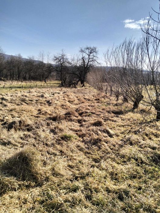 Vanzare casa Jimbor