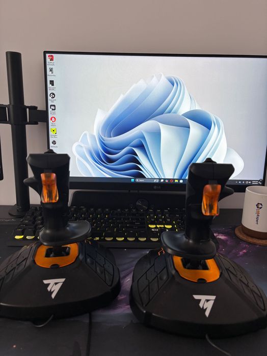 Dual joystick  Hotas/ Hosas Thrustmaster T16000M