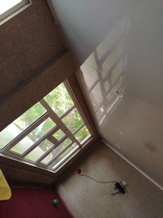 Xavosi toza turli xil daraxtlari bor