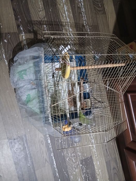 Продаю клетку для птиц