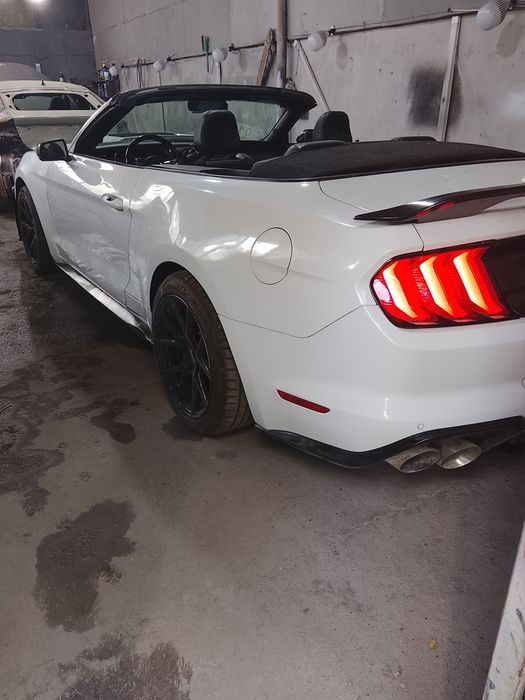 Костоправ малял полировка