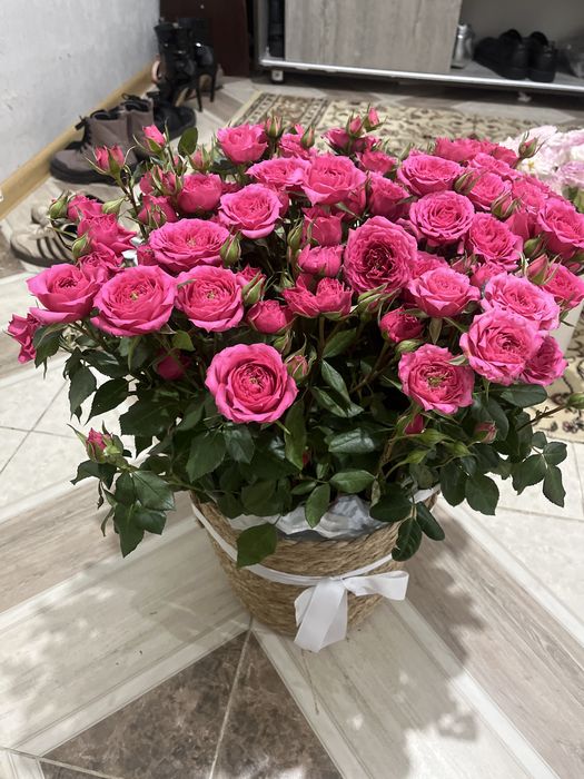 Цветыыыы  Туркестан