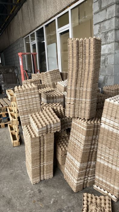 Отдам Бесплатно Кореткий