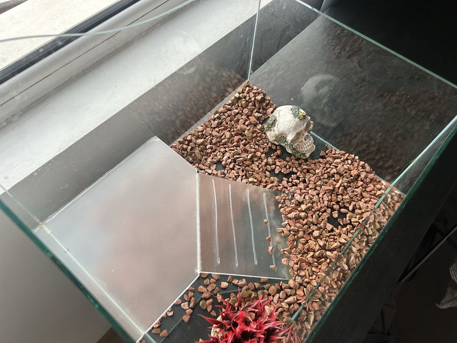 Стъклен аквариум