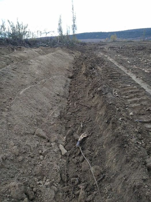 Почистване на парцели, услуги с мулчер и багер