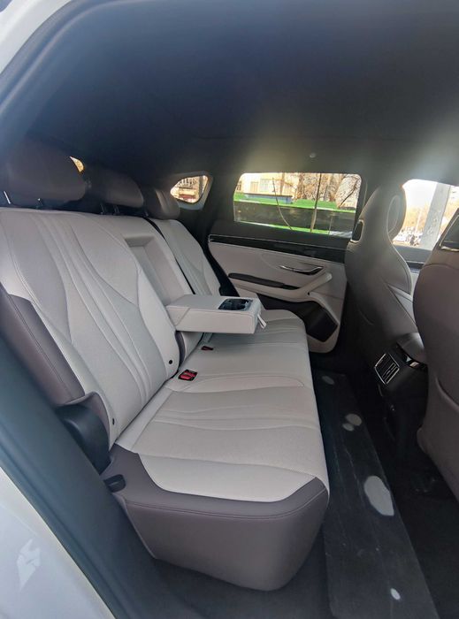 BYD Chempion 2025 model