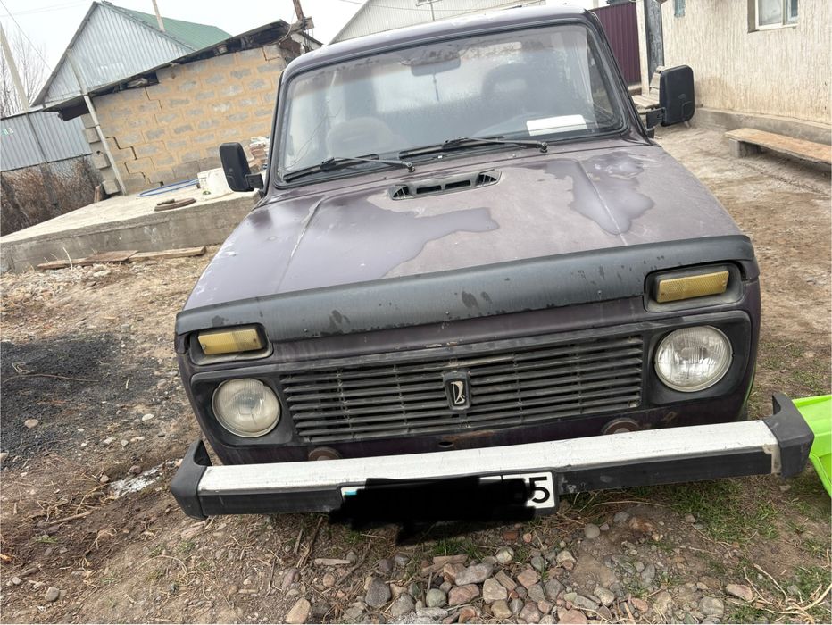 Ниав средний састена