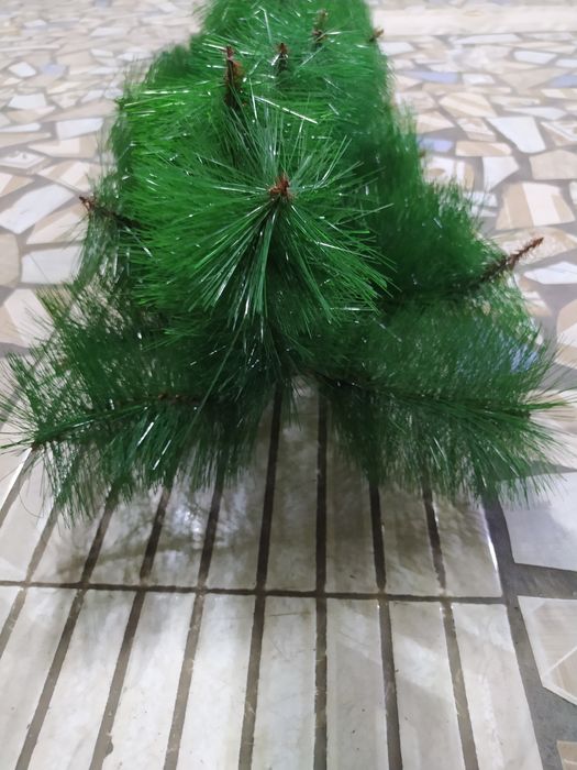 Хвойная ветка. Хвойная лапа. Ёлочная ветка. Гирлянда. Декор из елки