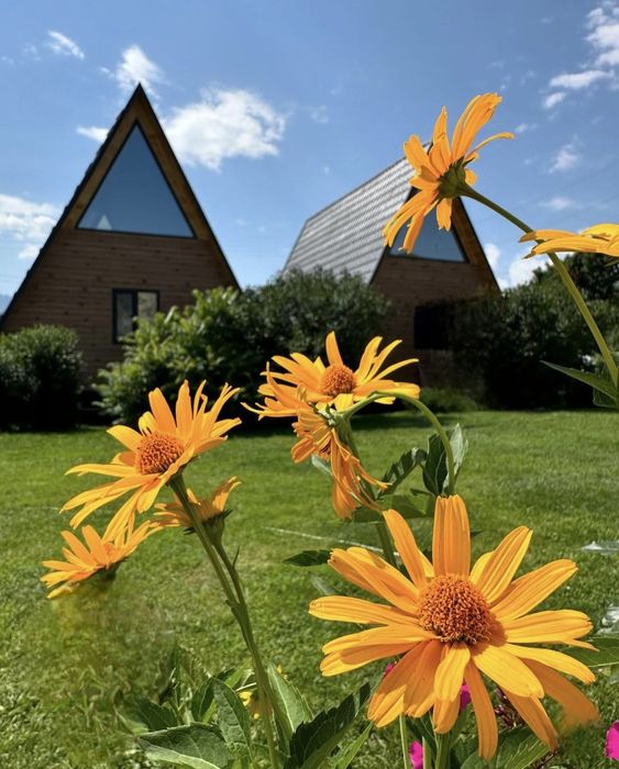 Строительства глемпинги и кемпинг