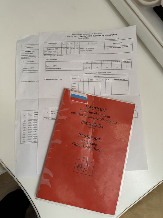 Продам Орловскую Кобылу