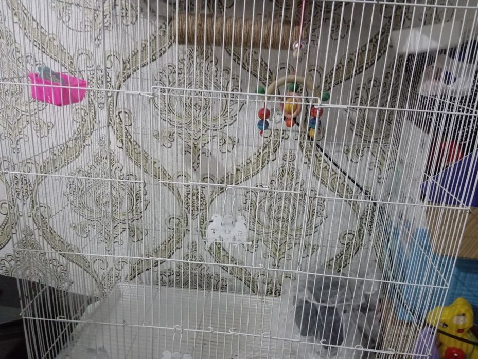 Продам большую клетку