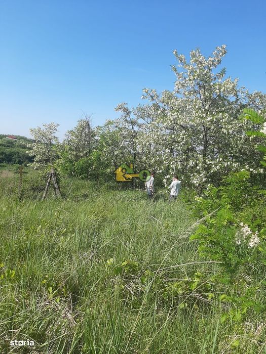 Teren Extravilan, Dealu Viilor, Lugoj
