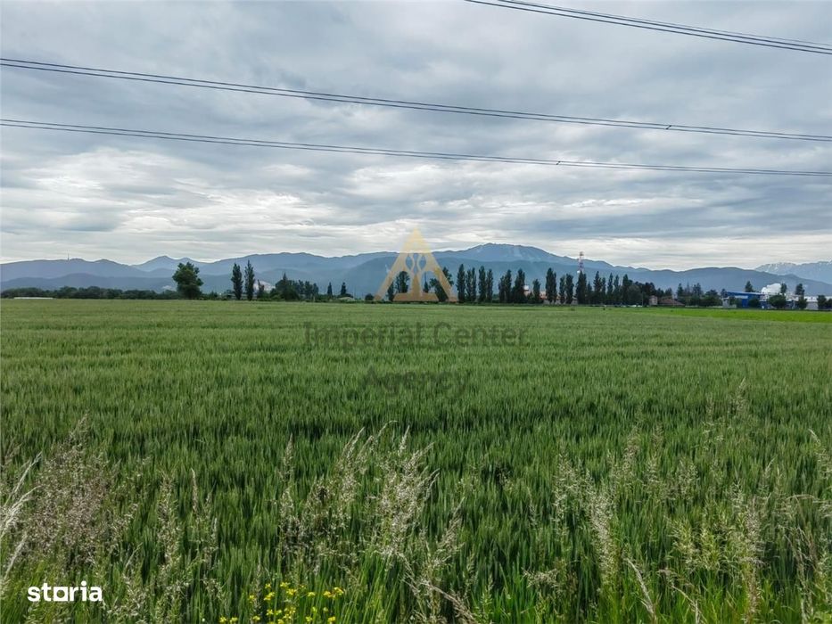 TEREN  de vanzare GHIMBAV   7 ha - BRASOV