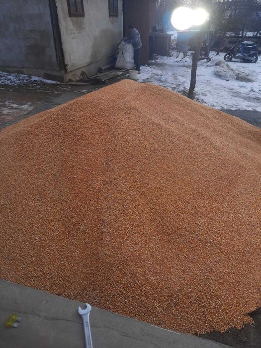 Vând graunțe furajere (80bani/kg)