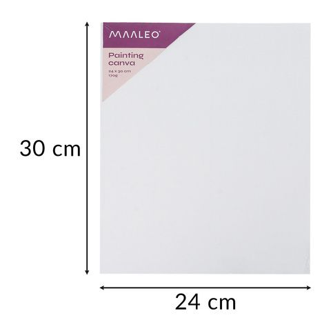 Set Maaleo Art Painting – Kit complet pictura cu acrilice,26 Piese