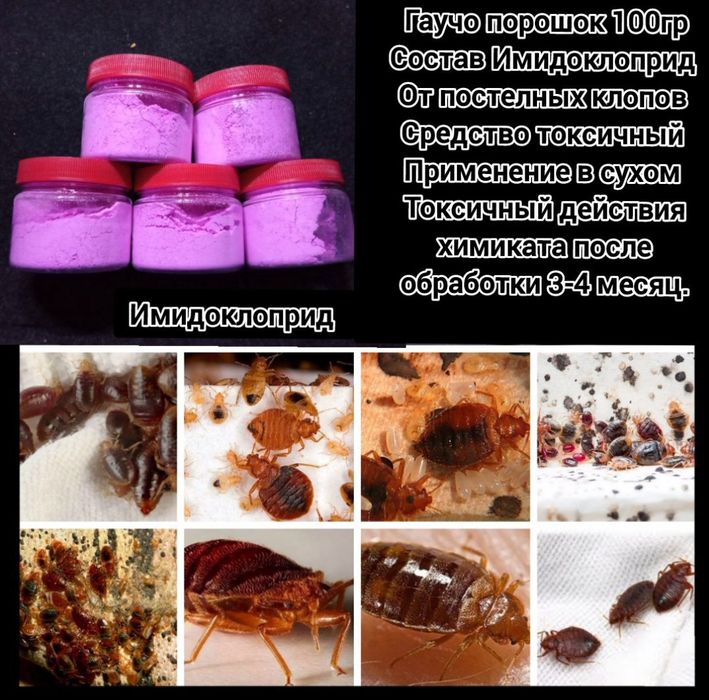 Розовый порошок гаучо от постелных клопов