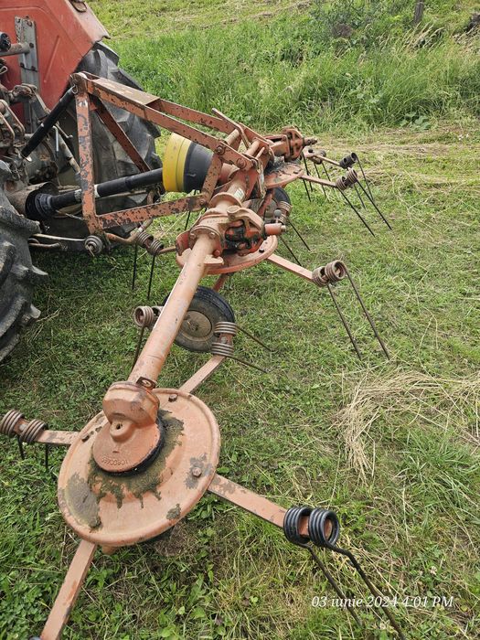 Grebla intors răvășit fan