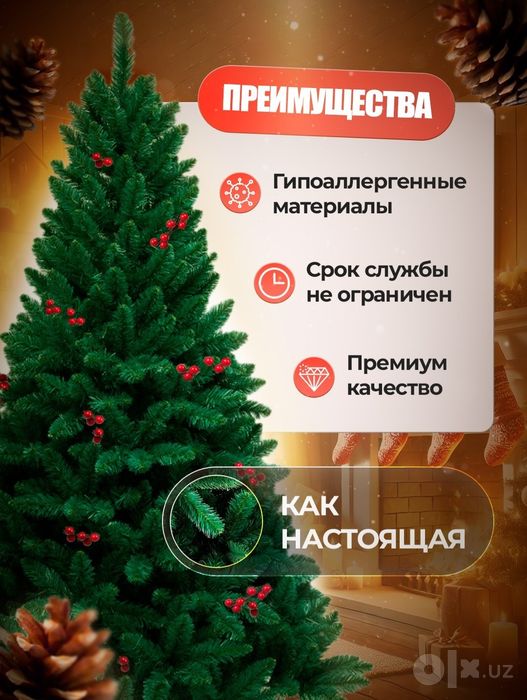 Archa Можжевельник 60,80,120,150,180,210,240sm бесплатно доставка