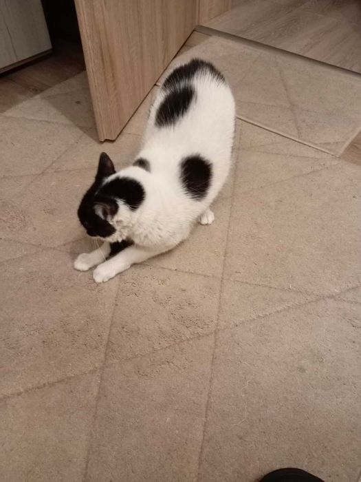 Килим и 2 пътеки