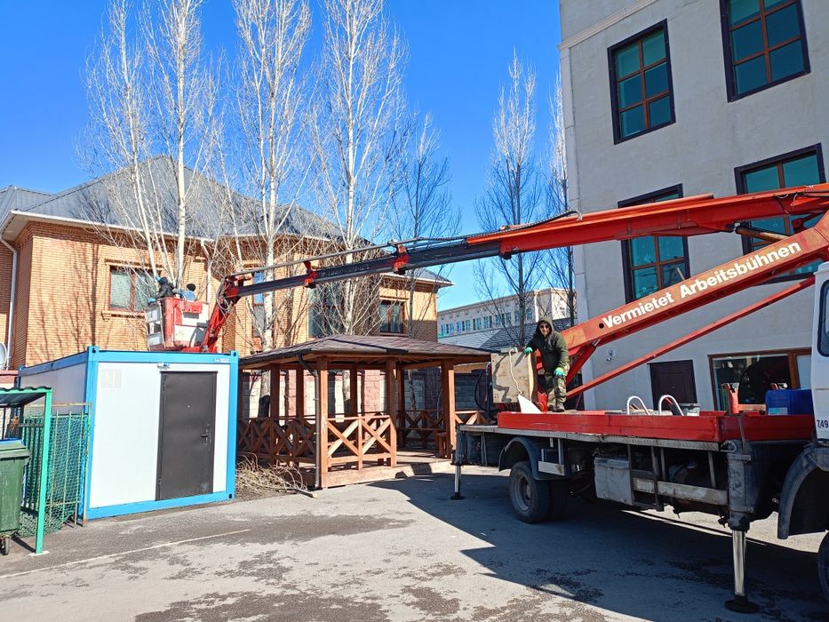 Спил дерево и клонирование санитарной обрезки.