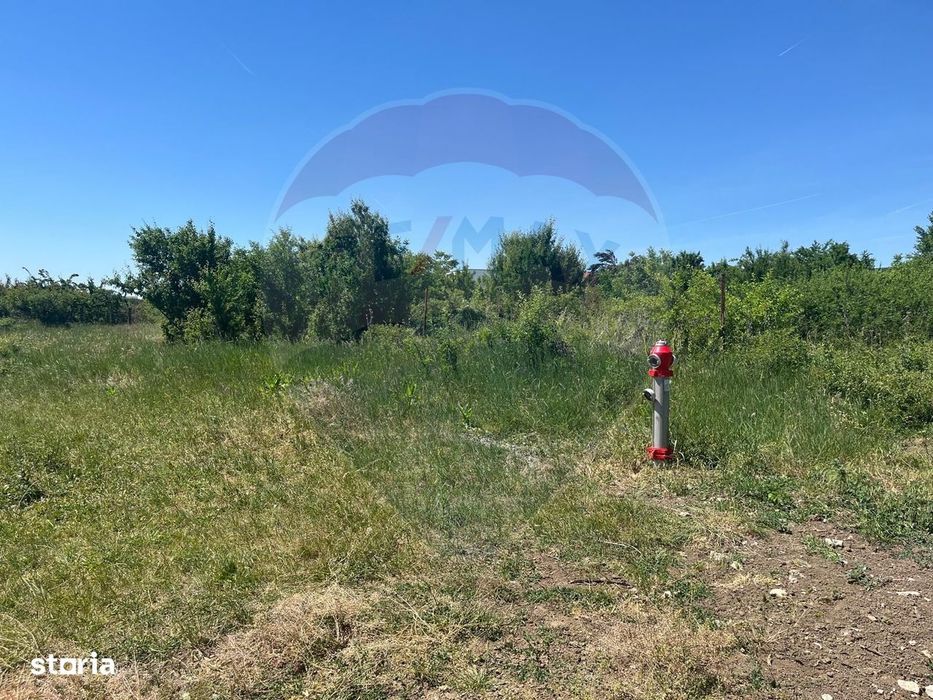 Teren intravilan 500mp | Kuncz, Timișoara | Oportunitate de Investiție