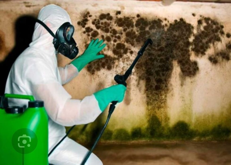 Удаление плесени, запахов, ртути, озонирование