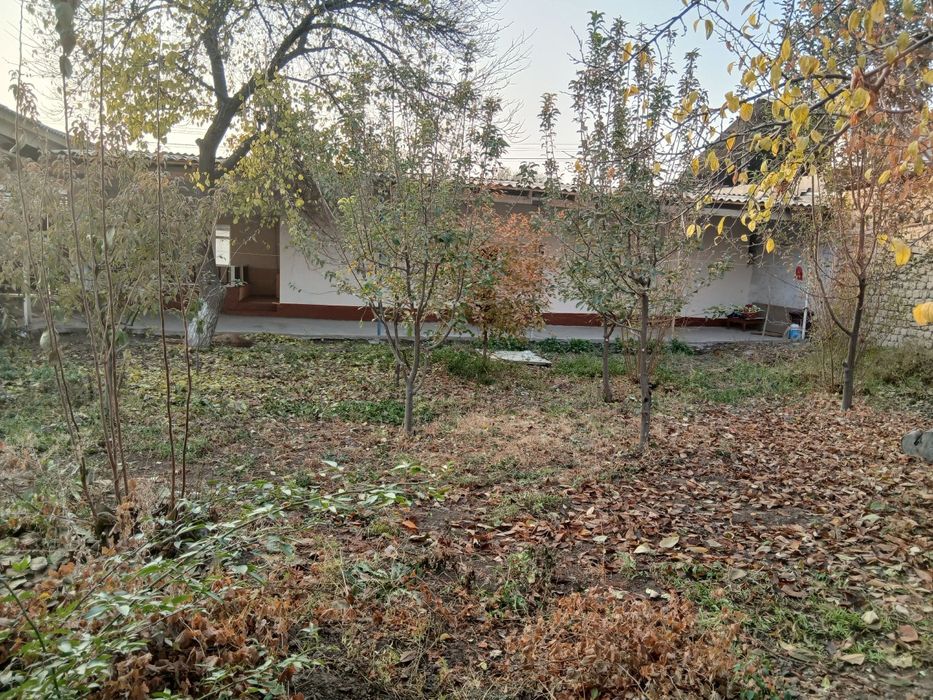 Arzon Uy Sotuvda 3 sotix