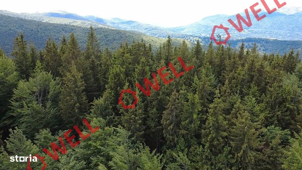 Pădure de vânzare în Vama Buzăului, sat Buzăiel!