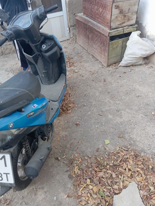 Келиндер кориндер